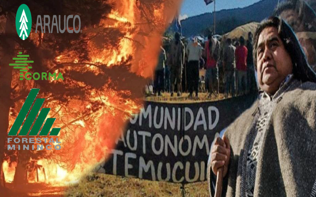 Comunidad Autónoma de Temucuicui frente a los incendios forestales que afectan Wallmapu