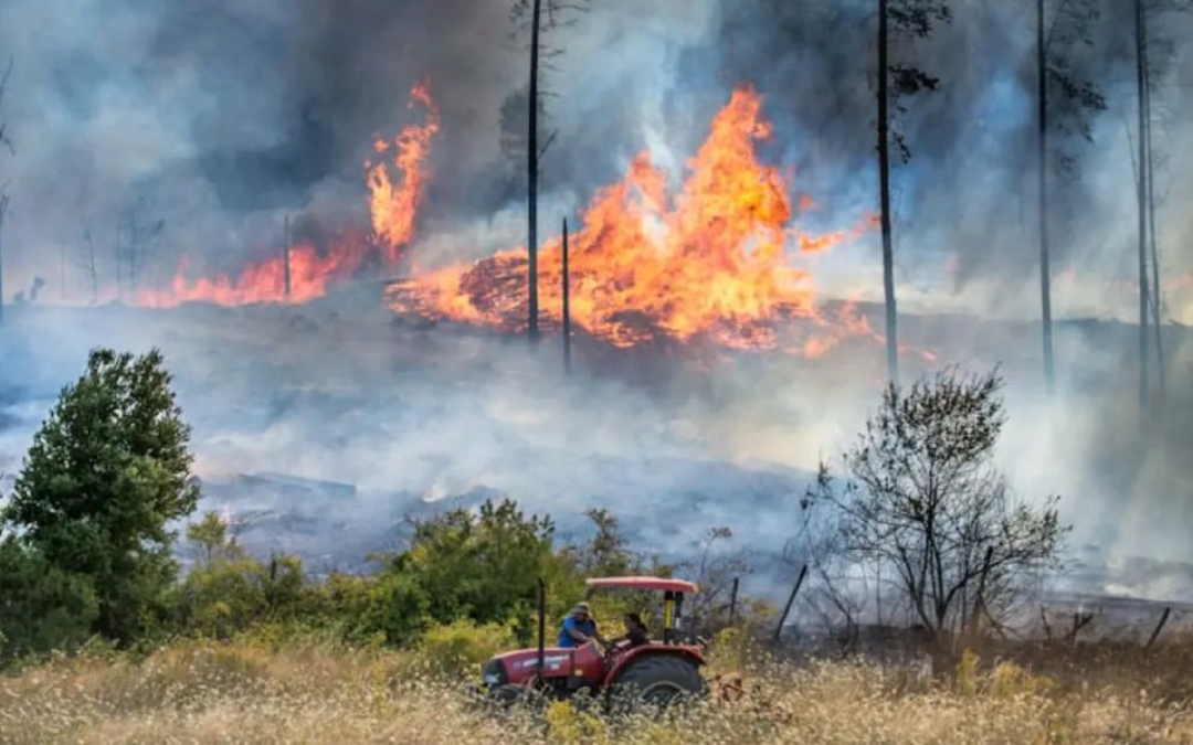 Incendios forestales, terrorismo mediático de la ultraderecha y el progresismo