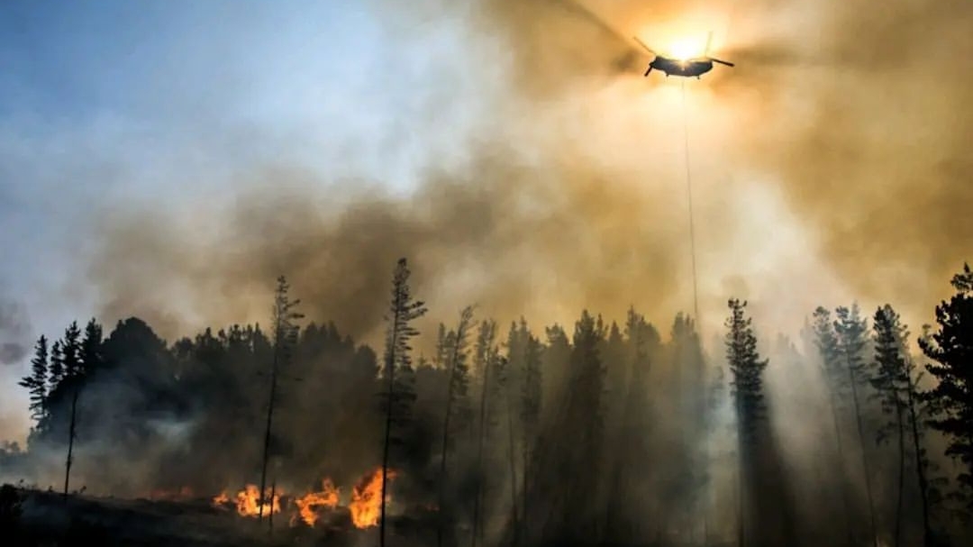 Comunicado PPM de la cárcel de Angol por mega incendios en Wallmapu